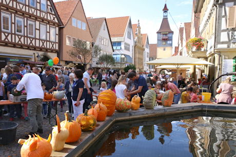 Geschnitzte Kürbisse auf dem Marktbrunnen